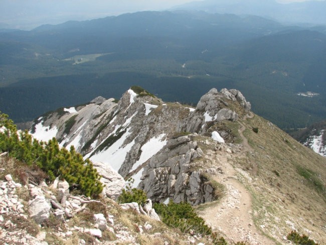 Pokljuka 2007 - foto povečava