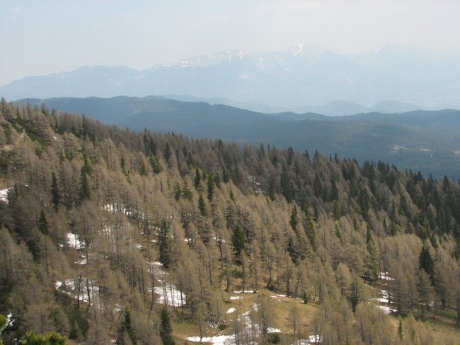 Pokljuka 2007 - foto povečava