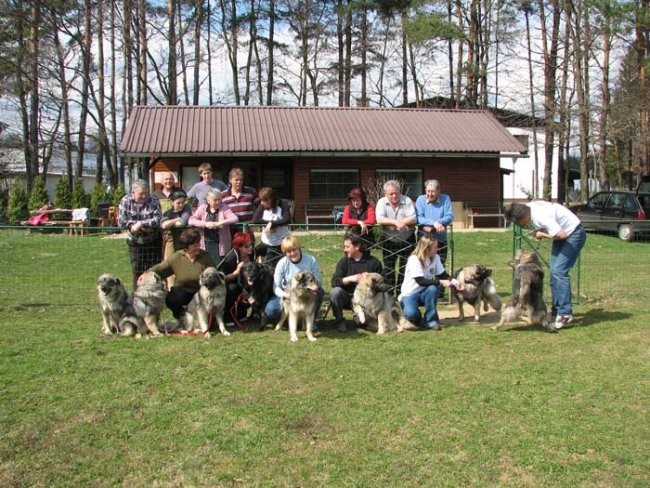 Na društvenem poligonu 2. - foto povečava