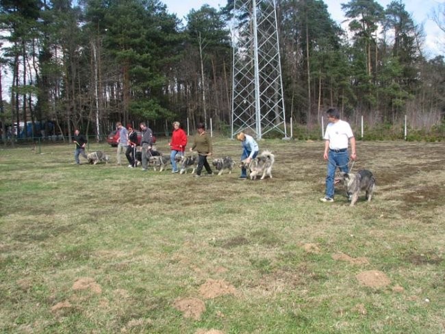 Na društvenem poligonu 2. - foto povečava