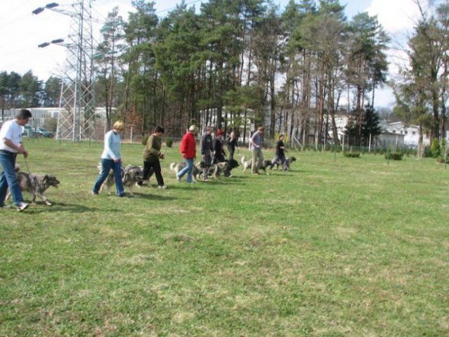 Na društvenem poligonu 2. - foto