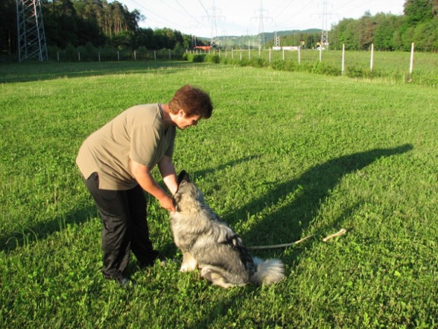 Šolanje in socializacija - foto