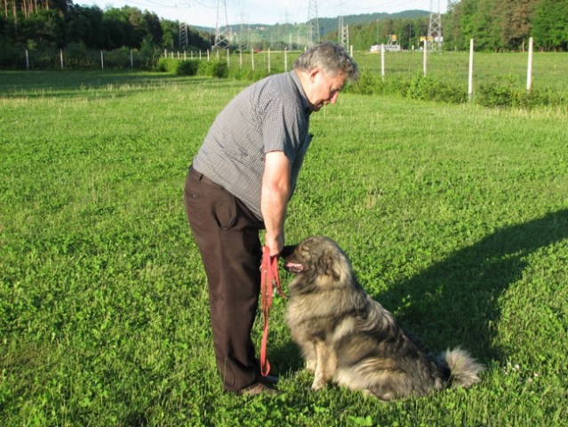 Šolanje in socializacija - foto