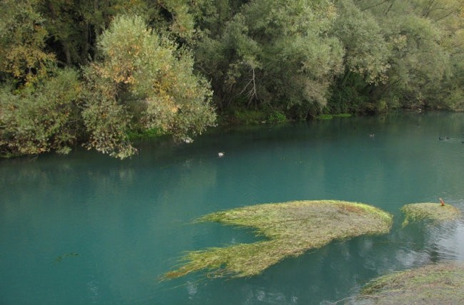 Narava - foto povečava