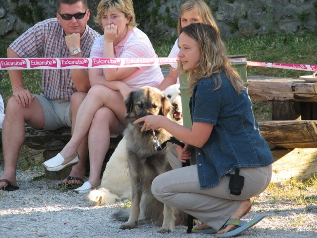 Piknik KO in revije Moj pes ter radia Zeleni  - foto povečava