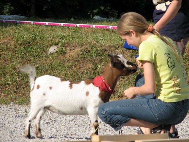 Agilašica kozica, zame zelo zanimivo