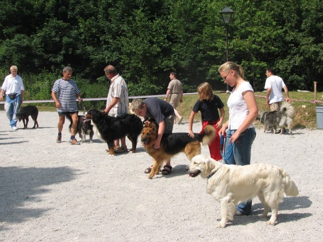 Piknik KO in revije Moj pes ter radia Zeleni  - foto povečava