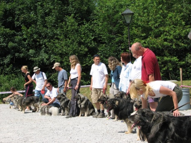 Piknik KO in revije Moj pes ter radia Zeleni  - foto