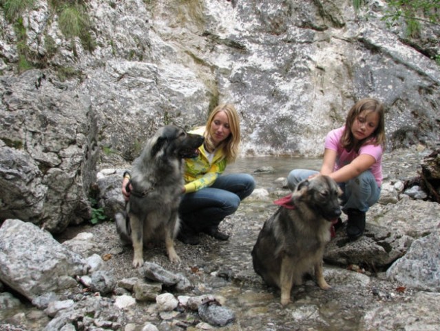 Logarska dolina 2007 - foto