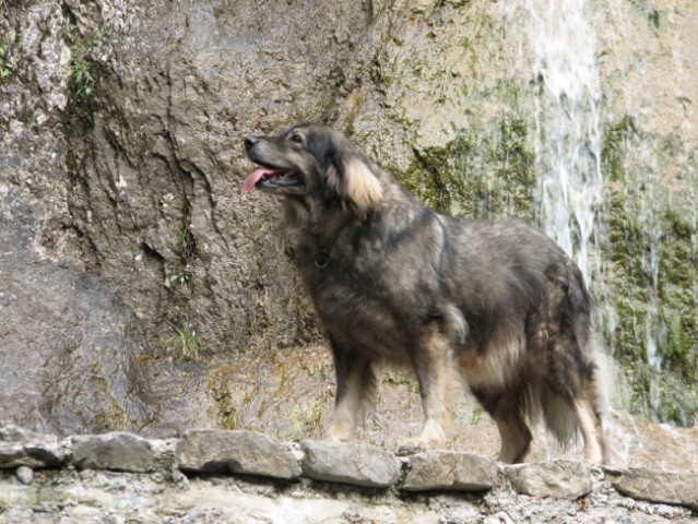 Logarska dolina 2007 - foto