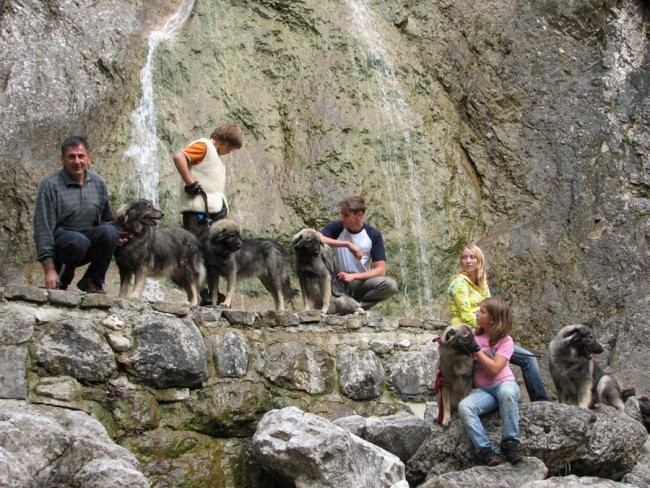 Logarska dolina 2007 - foto povečava