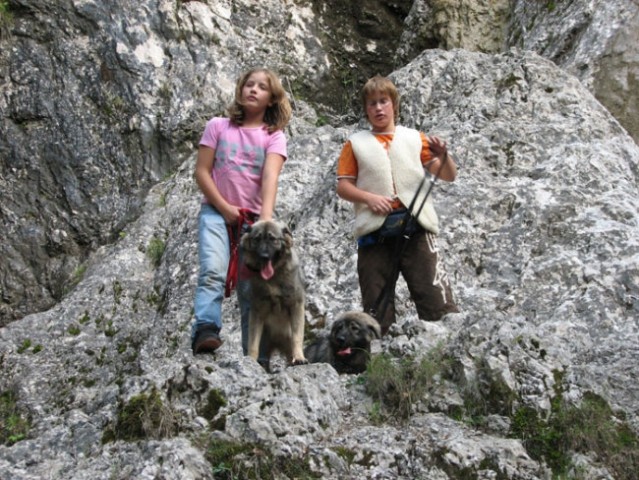 Logarska dolina 2007 - foto