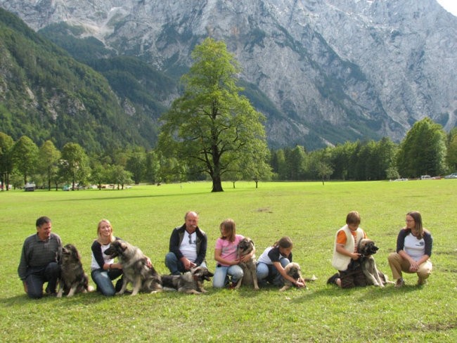 Logarska dolina 2007 - foto povečava