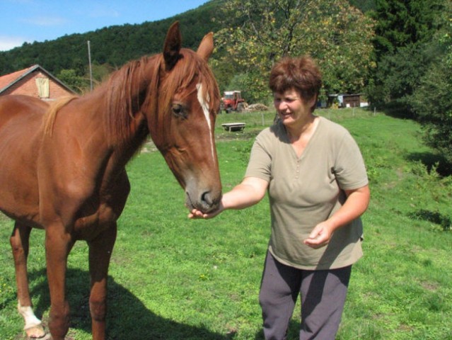 Kočevje - foto