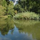 Mariborski park-neizčrpen vir motivov