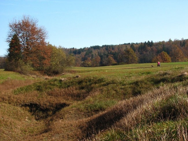 Radensko polje - foto povečava
