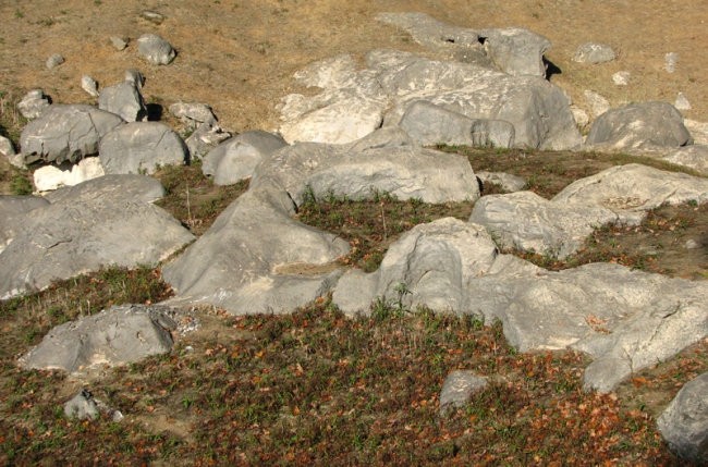 Radensko polje - foto povečava