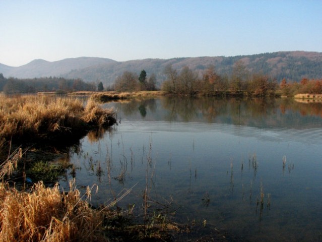 Radensko polje - foto