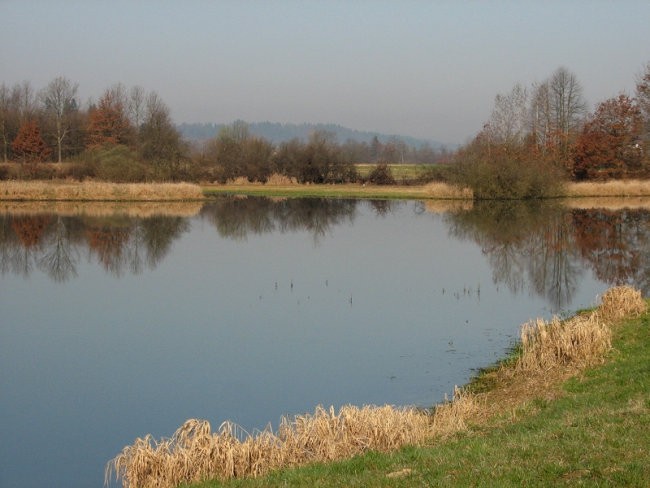 Radensko polje - foto povečava