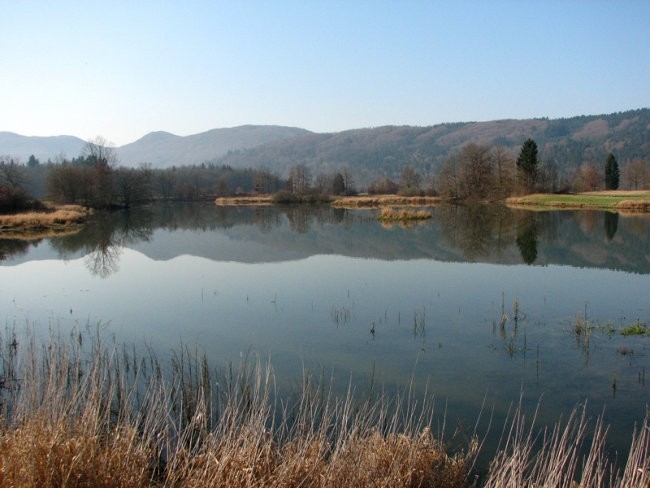 Radensko polje - foto povečava