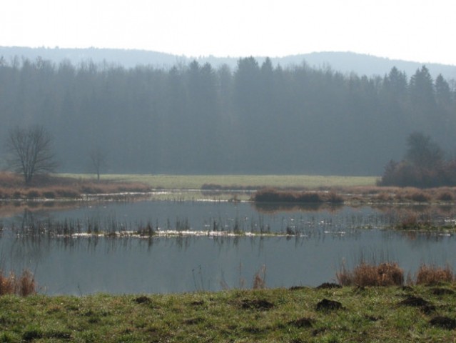 Radensko polje - foto