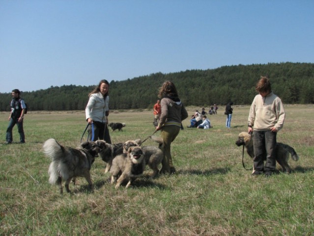 Pivka-Petelinjsko jezero 22.4.2007 - foto