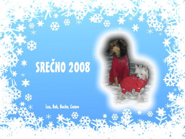 Voščilnica za 2008 - foto povečava
