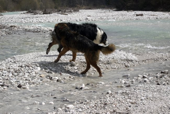 Nero, Mike in Bucko - foto povečava