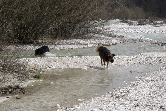 Nero, Mike in Bucko - foto povečava