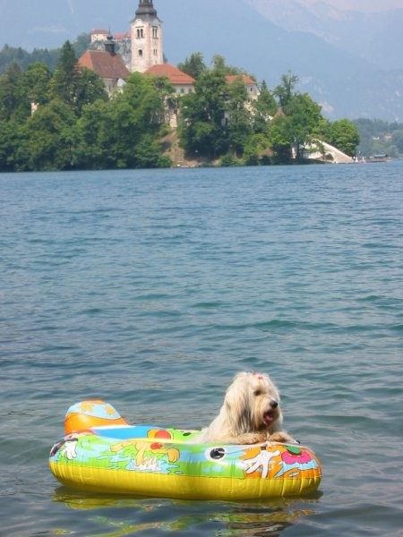 lep mi je
