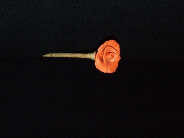 Prva vrtnica 
das masa 
2003