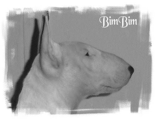 BimBim in Tinca - foto povečava