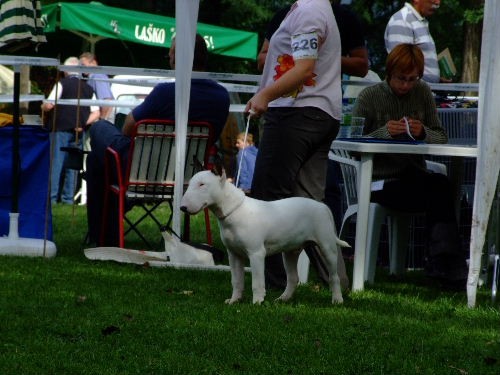 CAC Trbovlje 2006 - foto