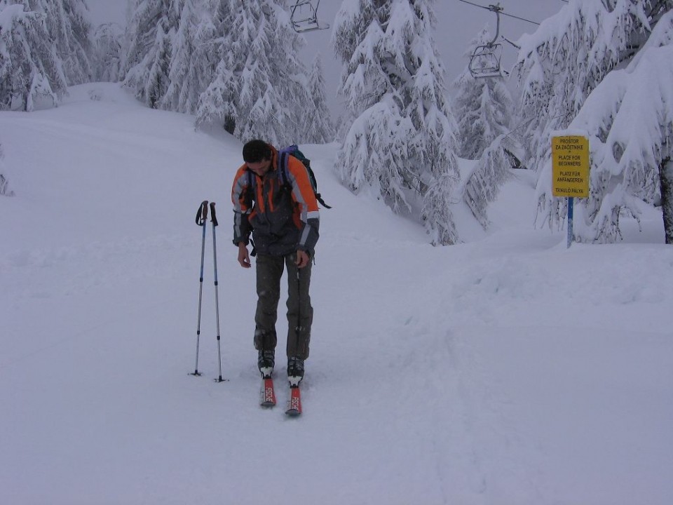 Vogel december 2008 - foto povečava