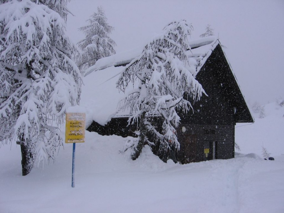 Vogel december 2008 - foto povečava