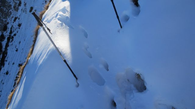 Lipanca - Viševnik 07.11.2013 - foto