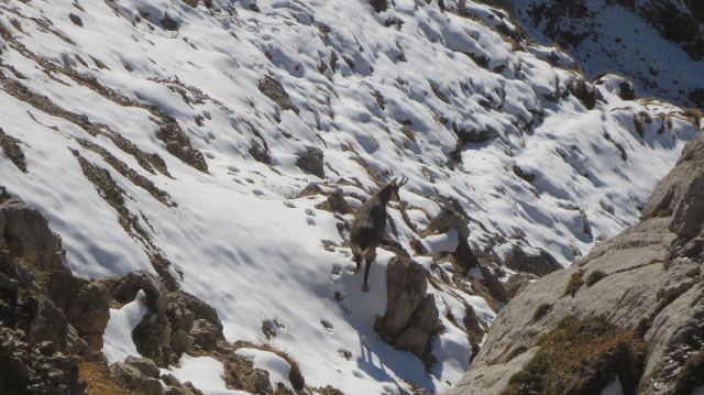 Lipanca - Viševnik 07.11.2013 - foto