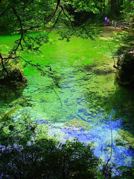 v vodi zeleno in modri odsev