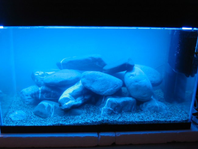 Akvarij 105 l - foto povečava