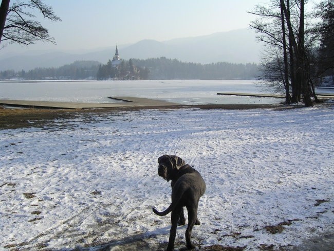 Art - foto povečava