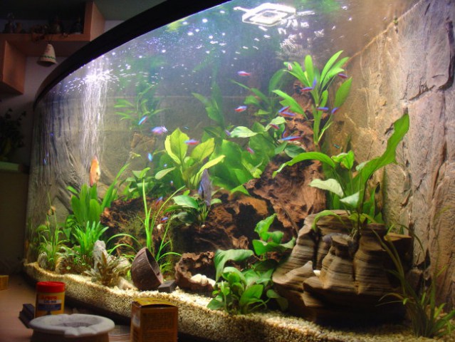 Akvarij2 - foto