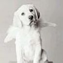 wiiii CuTeeEE