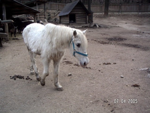 ZOO Ljubljana - foto