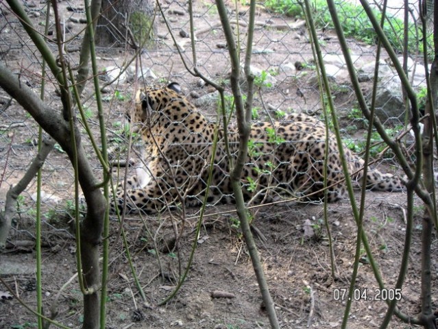 ZOO Ljubljana - foto