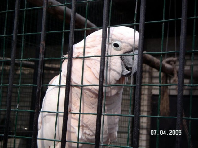 ZOO Ljubljana - foto