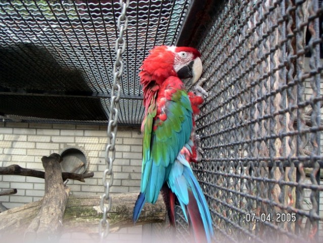 ZOO Ljubljana - foto