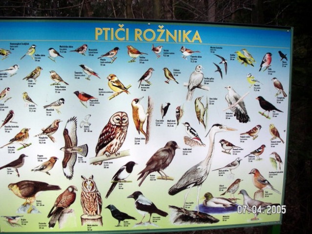 ZOO Ljubljana - foto
