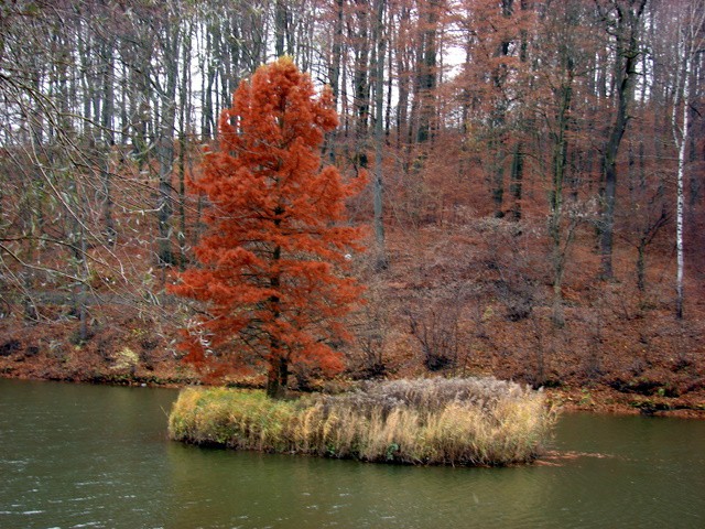 Jesen - foto povečava