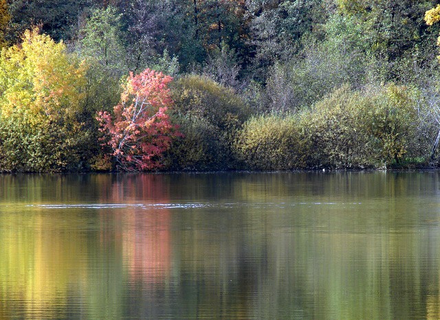 Jesen - foto povečava