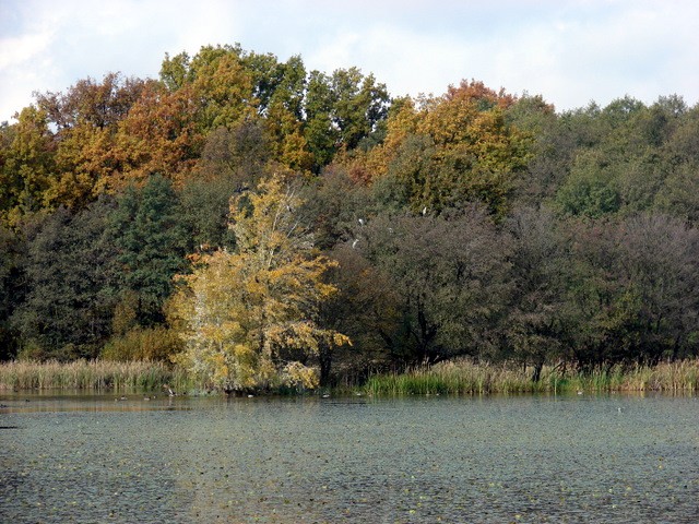 Jesen - foto povečava